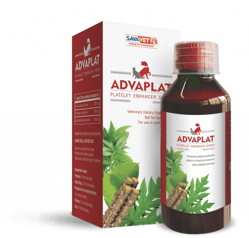 Savavet Advaplat Platelet Enhancer Syrup for Dogs and Cats - Ofypets