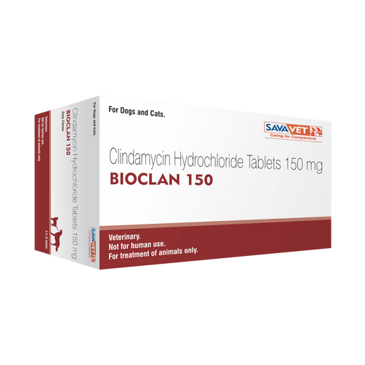 Savavet Bioclan Clindamycin Hydrochloride Tablets for Dogs and Cats - Ofypets