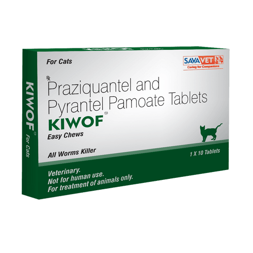 Buy Kitten Cat Deworming Medicine Dewormers Tablet Syrup Ofypets