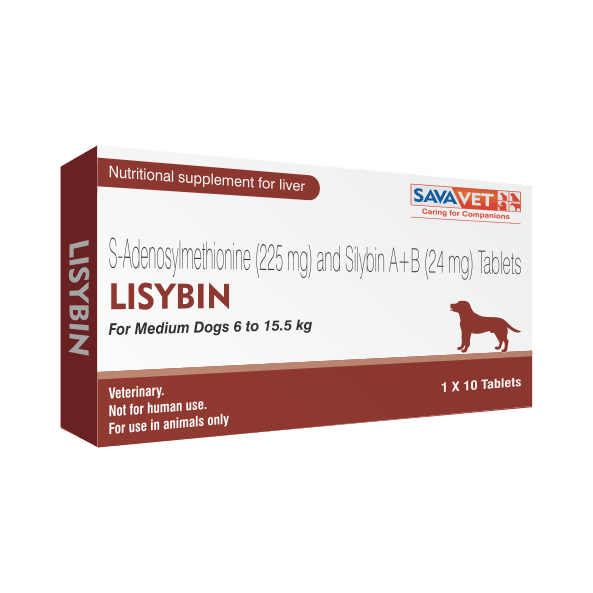 Savavet Lisybin Liver Support Tablets for Dogs and Cats - Ofypets
