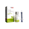 Savavet METAFLAM Meloxicam ORAL SUSPENSION for Dogs - Ofypets