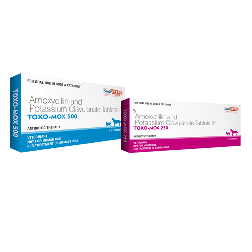 Savavet Toxo-Mox 250 / 500 Amoxycillin and Potassium Clavulanate Antibiotic Tablets for Dogs and Cats - Ofypets