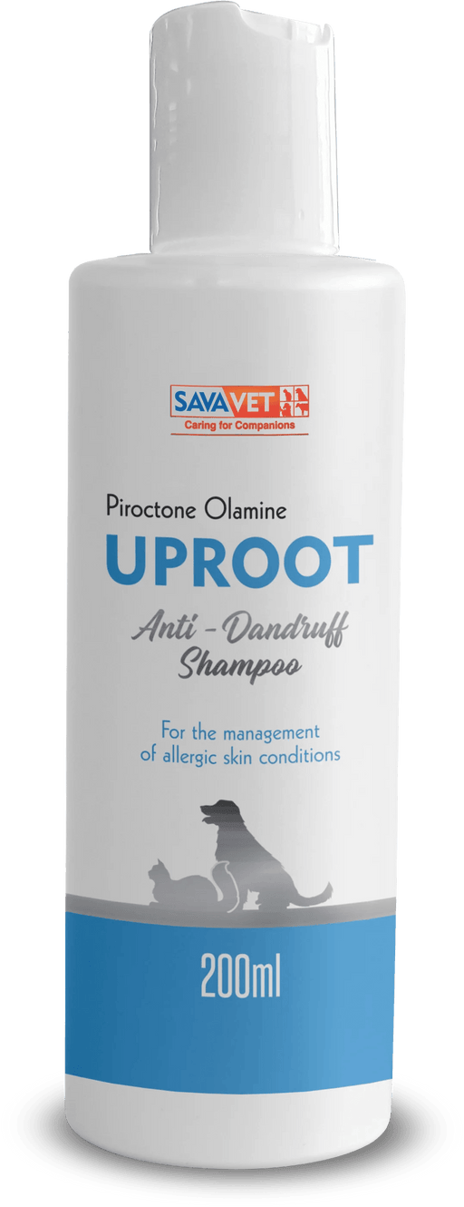 Savavet Uproot Purdruff Piroctone Olamine Anti-Dandruff Shampoo for Dogs and Cats - Ofypets