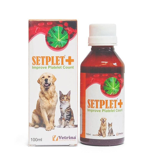 Setplet Platelet Enhancer Syrup for Dogs and Cats - Ofypets