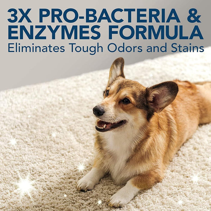 Simple Solution Extreme Dog Stain And Odour Remover Spray - Ofypets