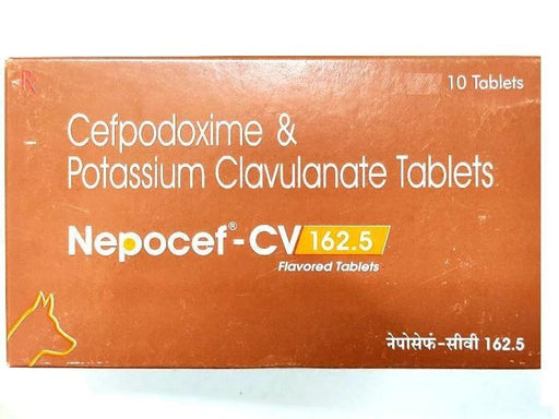 TTK Nepocef - CV Cefpodoxime and Potassium Clavulanate Antibiotic Tablets for Dogs and Cats - Ofypets
