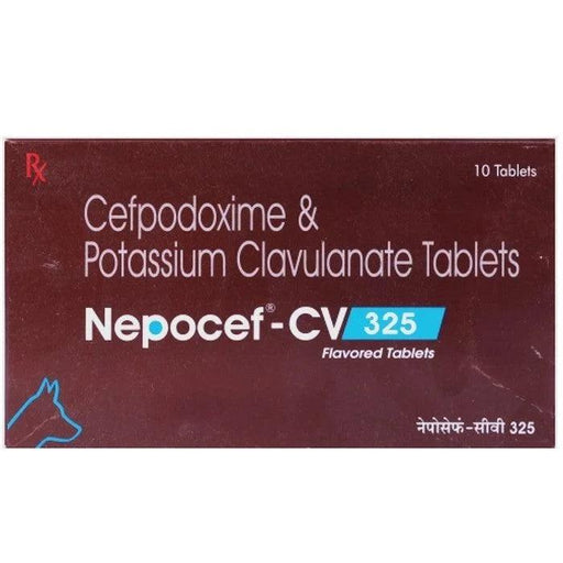 TTK Nepocef - CV Cefpodoxime and Potassium Clavulanate Antibiotic Tablets for Dogs and Cats - Ofypets