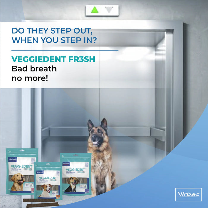 Virbac VEGGIEDENT FR3SH Dental Chew Treats for Dogs - Ofypets