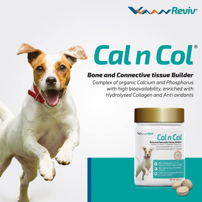 Vvaan Cal n Col Liver Flavour Calcium Chewable Tablets for Dogs — Ofypets