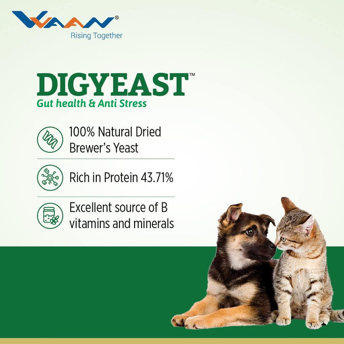 Vvaan Digyeast Gut Health and Anti Stress Supplementary Food for Dogs and Cats - Ofypets