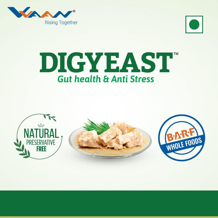 Vvaan Digyeast Gut Health and Anti Stress Supplementary Food for Dogs and Cats - Ofypets