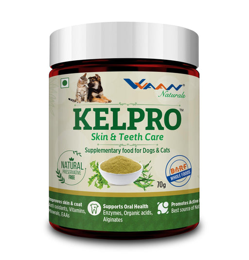 Vvaan Kelpro Skin and Teeth Care Supplementary Food for Dogs and Cats - Ofypets