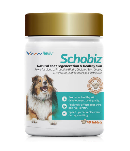 Vvaan Schobiz Liver Flavour Biotin Chewable Tablets for Dogs - Ofypets