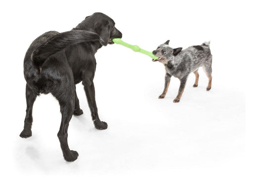 West Paw Zogoflex Echo Zwig Stick Chew Toy for Dogs - Ofypets
