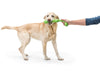 West Paw Zogoflex Echo Zwig Stick Chew Toy for Dogs - Ofypets