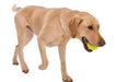 West Paw Zogoflex Jive Chew Ball for Dogs - Ofypets