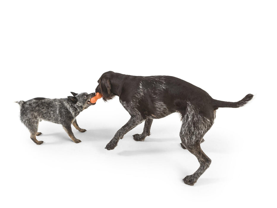 West Paw Zogoflex Rumpus Chew Toy for Dogs — Ofypets