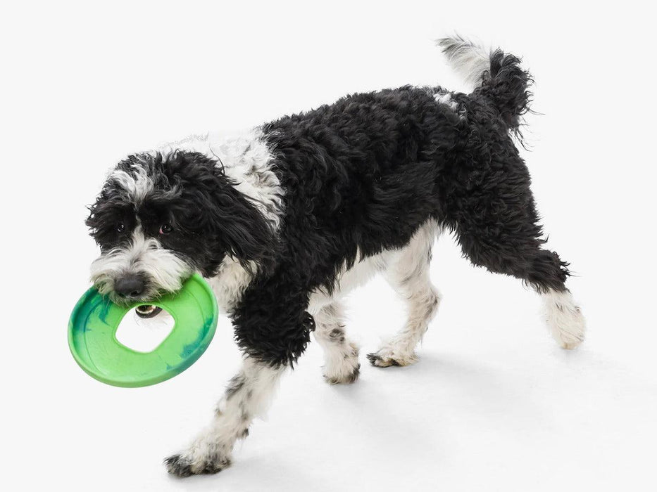 West Paw Zogoflex Sailz Frisbee Chew Toy for Dogs - Ofypets
