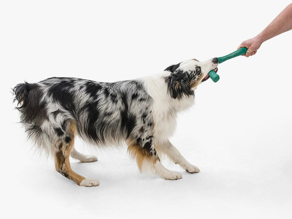 West Paw Zogoflex Snorkl Chew Bone Toy for Dogs - Ofypets