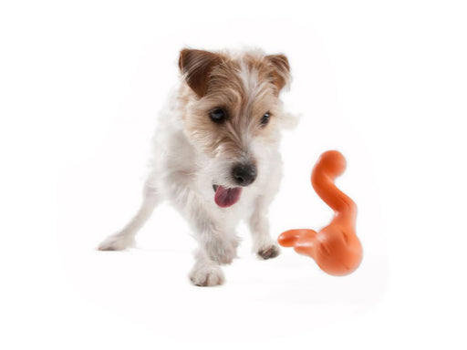West Paw Zogoflex Tizzi Treat Chew Toy for Dogs - Ofypets