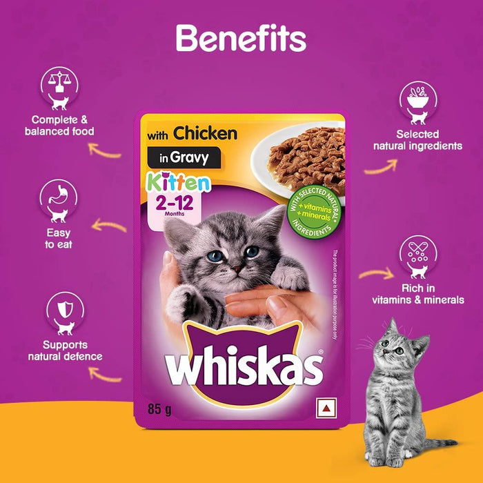 Whiskas Kitten Chicken in Gravy Wet Food - Ofypets