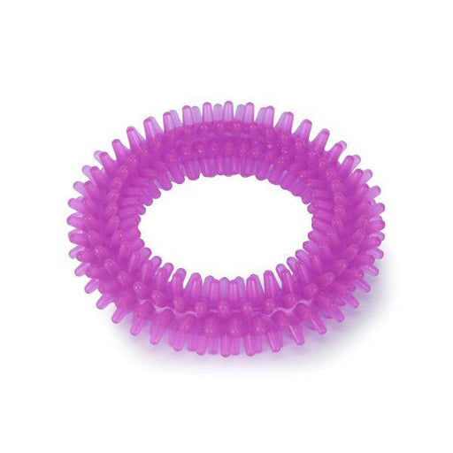 Basil Spike Chew Ring Teething Chew Toy for Puppies and Dogs - Ofypets