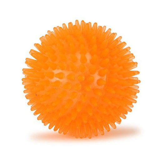 Basil Spike Squeaky Ball Teething Chew Toy for Puppies and Dogs - Ofypets