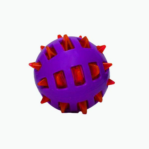 Basil Spike Squeaky Ball Toy for Dogs - Ofypets