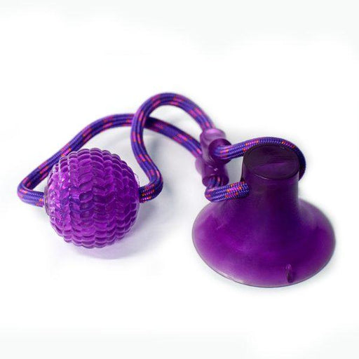 Basil Tug Toy with Rubber Suction Cup for Dogs - Ofypets