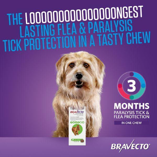 Bravecto Tick and Fleas Removal Chewable Fluralaner Tablet for