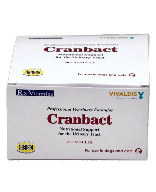 Cranbact Nutritional Support for The Urinary Tract for Dogs and Cats - Ofypets