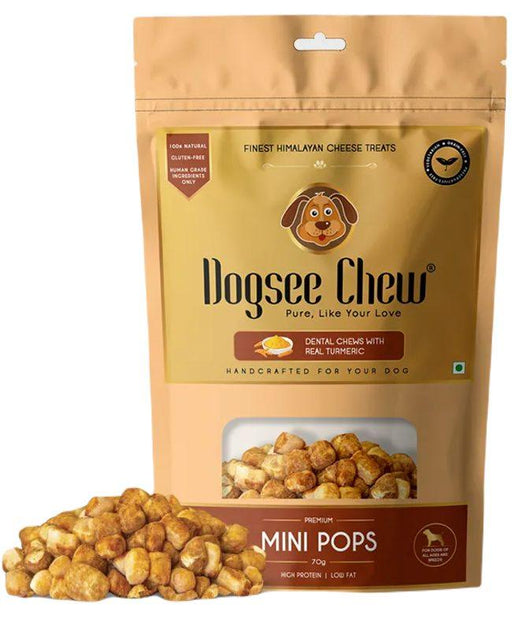 Dogsee Chew Cheese Turmeric Mini Pops Premium Bite Sized Training Treats for Dogs - Ofypets
