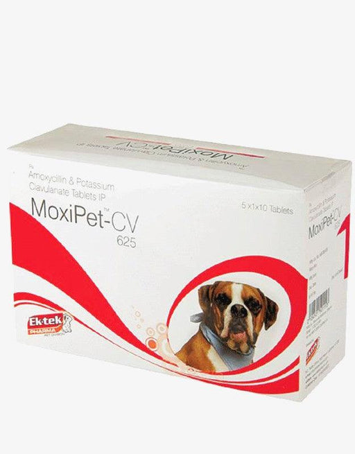 Ektek Pharma Moxipet-CV 625 Tablets for Dogs - Ofypets