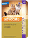 Elanco Advocate Spot On for Cats - Ofypets