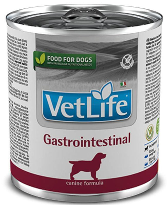Crisp Gastrointestinal Dog Food Moment for Your Screen Crisp Gastrointestinal Dog Food Moment for Your Screen