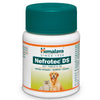 Himalaya Nefrotec DS - Ofypets