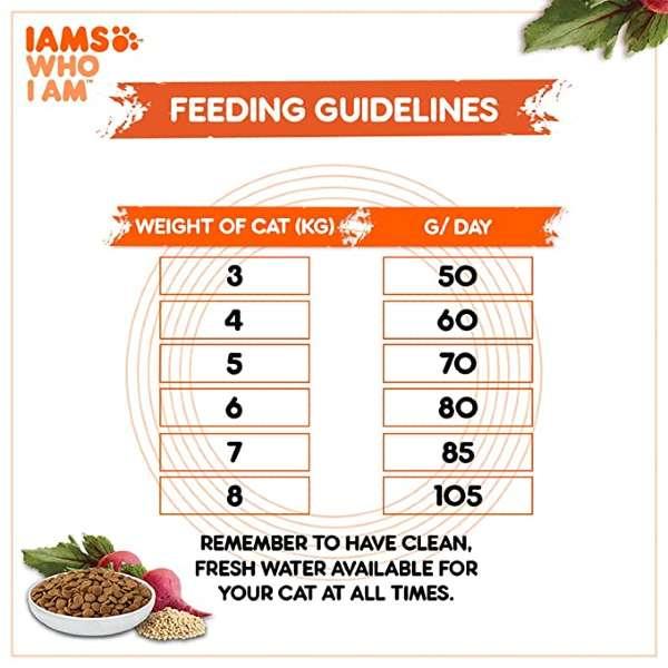 IAMS Proactive Health with Chicken and Salmon Premium Cat Food - Ofypets