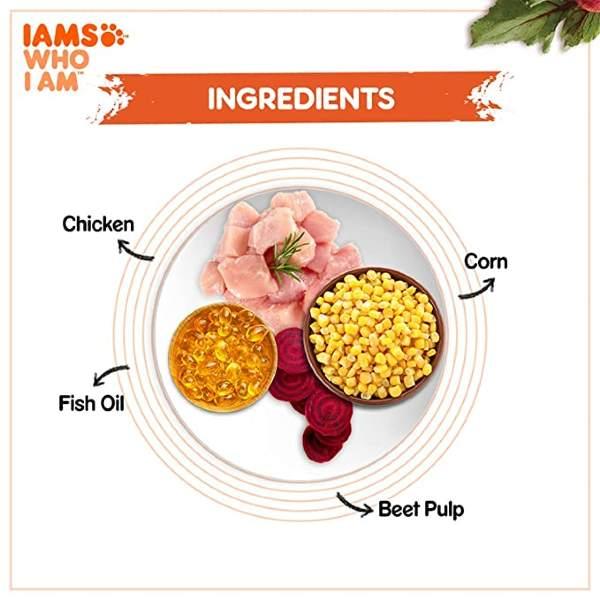 IAMS Proactive Health with Chicken Premium Cat Food - Ofypets