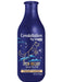Lozalo Constellation Itch Relief Oatmeal and Rosemary Shampoo for Dogs - Ofypets