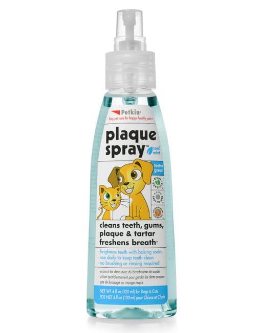 Petkin Plaque Spray,Cool Mint - Ofypets