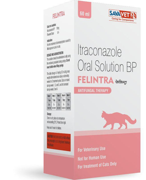 Savavet Felintra Itraconazole Oral Solution Antifungal Therapy for Cats - Ofypets
