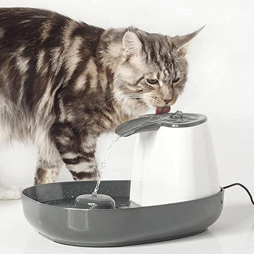 Savic Automatic Drinking Water Fountain for Dogs and Cats - Ofypets