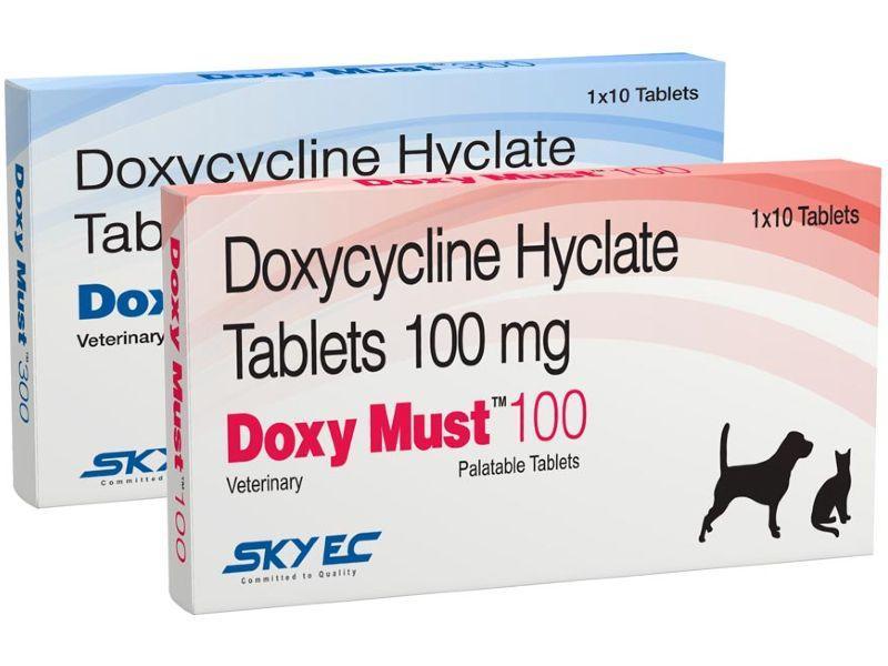 SkyEc Doxy Must Doxycycline AntiBiotic Tablets for Dogs and Cats — Ofypets