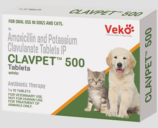 Veko Clavpet 500 Amoxycillin and Potassium Clavulanate Antibiotic Tablets for Dogs and Cats - Ofypets