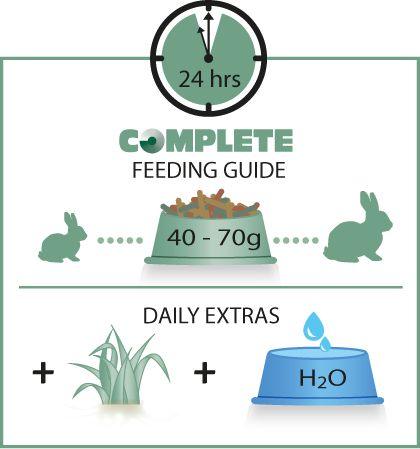 Versele Laga Complete Cuni Sensitive Pellet Food for Rabbits - Ofypets