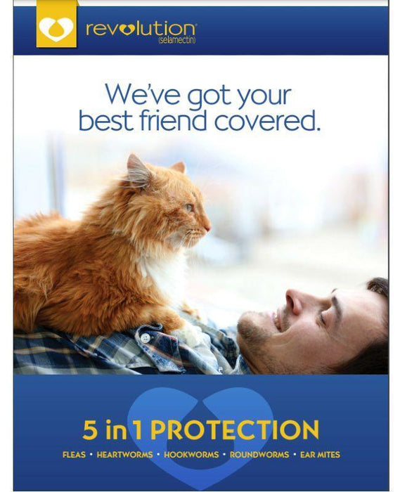 Zoetis Revolution Selamectin Spot on for Cats